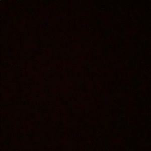 Meet your Posher, Isabella